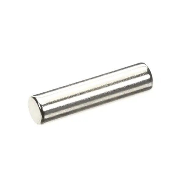 DOOR MAGNET for Henny Penny MM203032