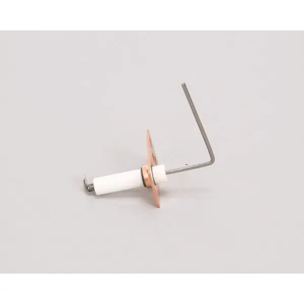 SENSOR FLAME 8110487 for AllPoints 8110487