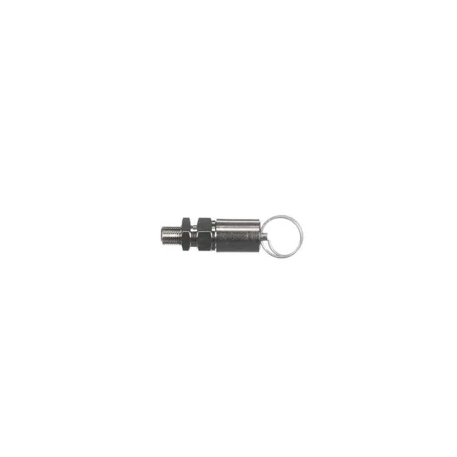 Low-Pressure Valve 1/8 for AllPoints 8134139