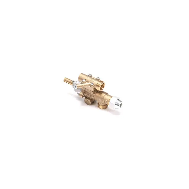 Gas Valve for AllPoints 8124943
