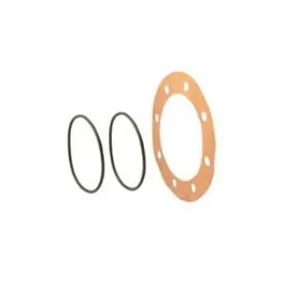 FALK 0785328 FAL Exposed Bolt Seal and Gasket Kit 1060G Coupling