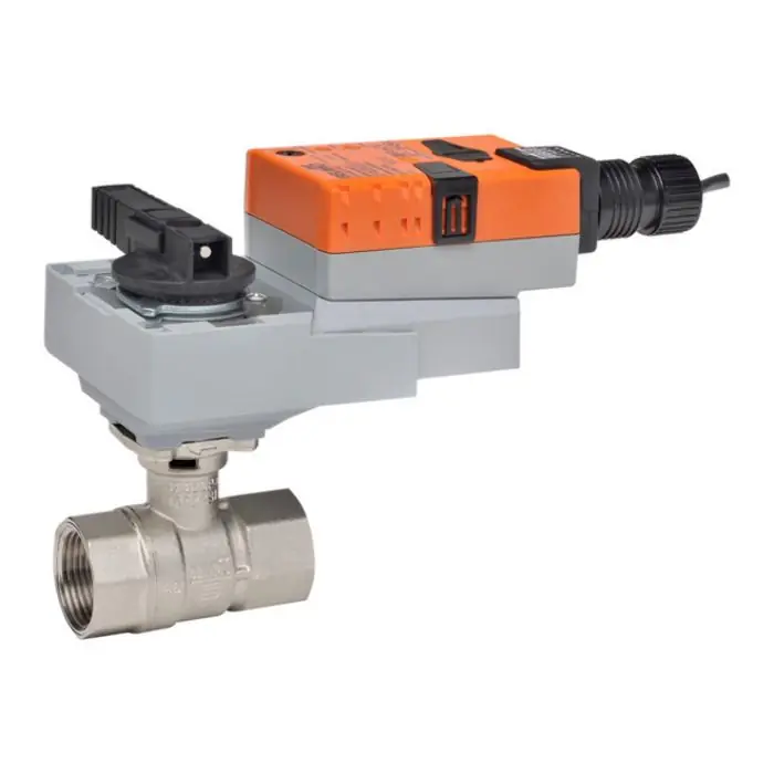 Belimo B248+ARX120-SR CCV Assembly 2 Way 2 in NPT 29 Cv