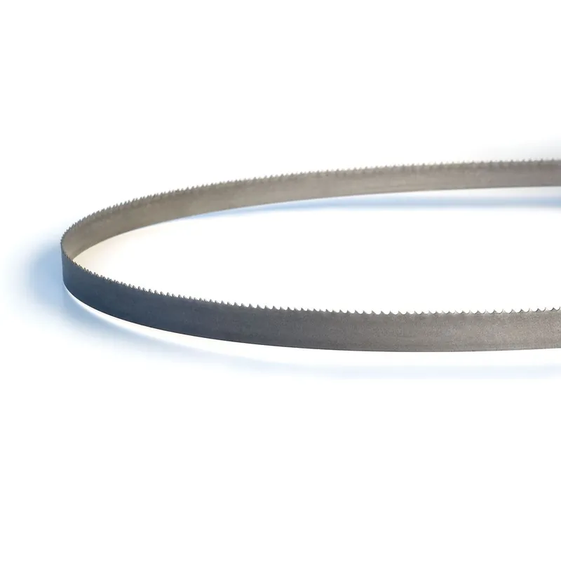 Lenox 8011438EW1014 Master-Band Portable Bandsaw Blade, 44-7/8 in L, 1/2 in W x 0.023 in THK, 10/14 TPI