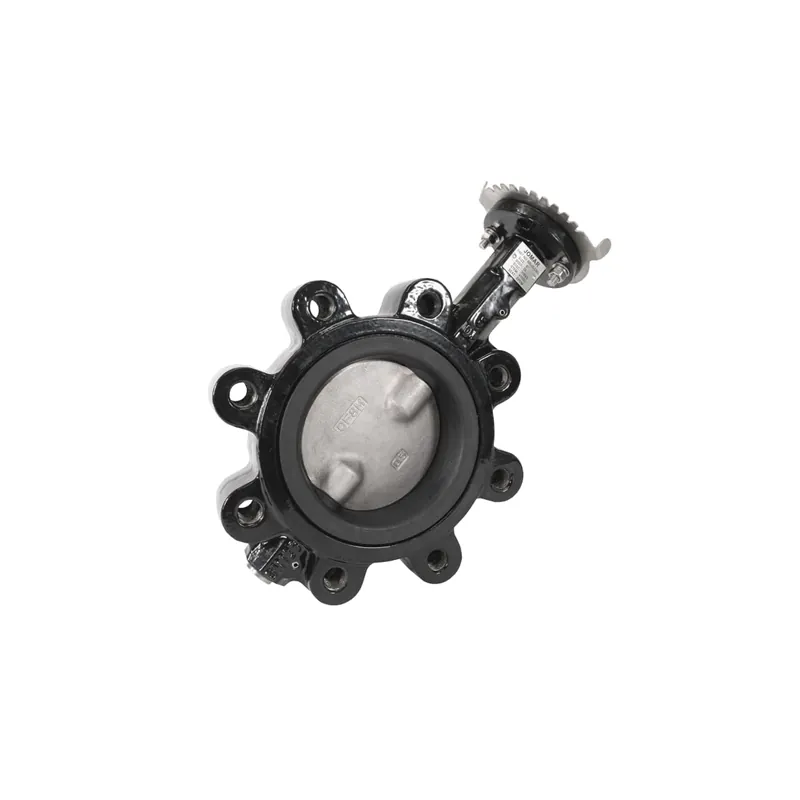 Jomar 600-03DSBL Lug Style, Epoxy-Coated Ductile Iron Body, Stainless Steel Disc