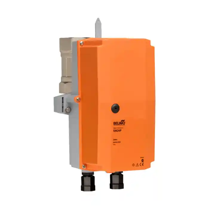 Belimo B263+ARX24-SR-T N4 CCV Assembly 2 Way 2 1/2 in NPT