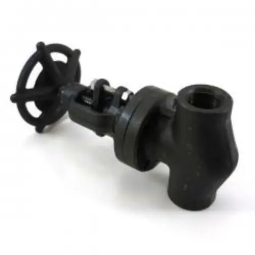 Vogt 12141.1 Globe Valve Class 800 1 in NPT