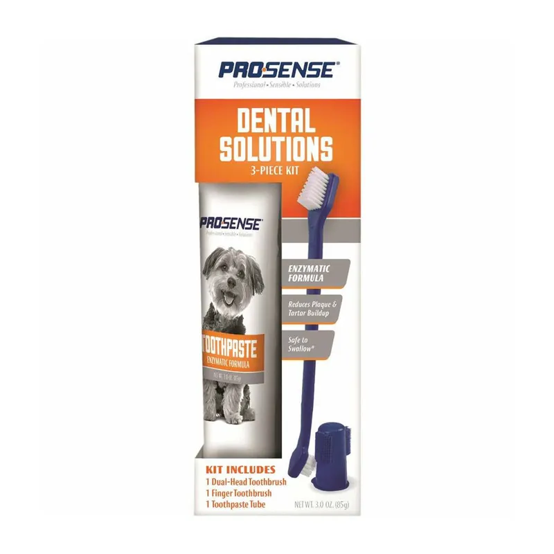 True Value P-87005 PROP DENTAL START KIT