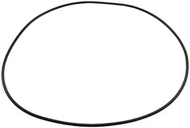 Waterway Plastics 672-7180B Clearwater II Lid O-Ring