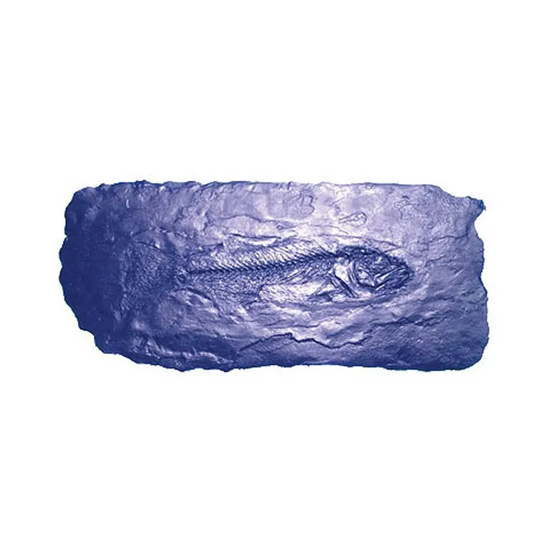 BonWay 32-682 Fossil Stamp - Fish Power Each Replacement MPN