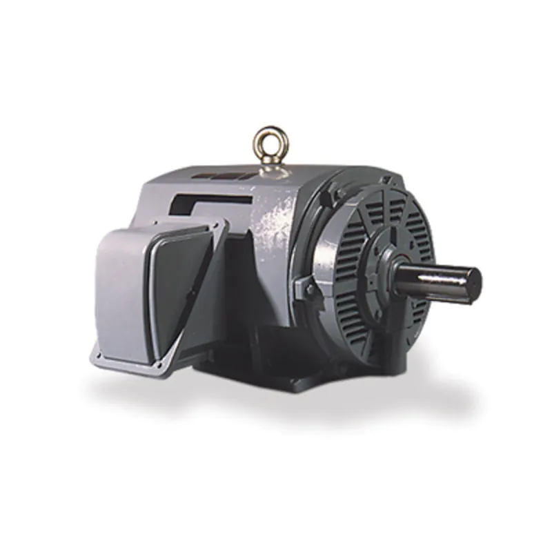 Teco DHP0032 General Purpose Motor 3 HP 230/460 Volts