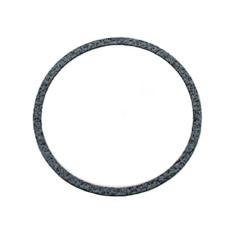 Raypak 800173F Flat Pump Gasket 5.25 inch OD
