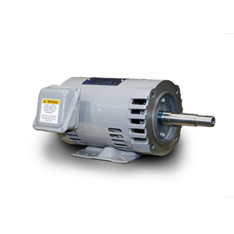 TECO DSP0014 General Purpose Motor 1HP (56 Frame) Replacement MPN