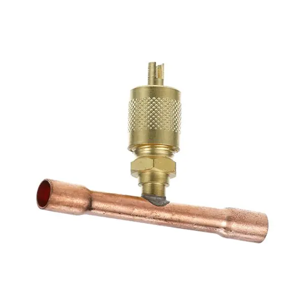 ACCESS VALVE