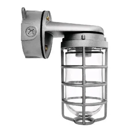 RAB VXBR100DG VX Series HID Outdoor Vaporproof Light Fixture A19 Incandescent Lamp 120/208/240/277 VAC