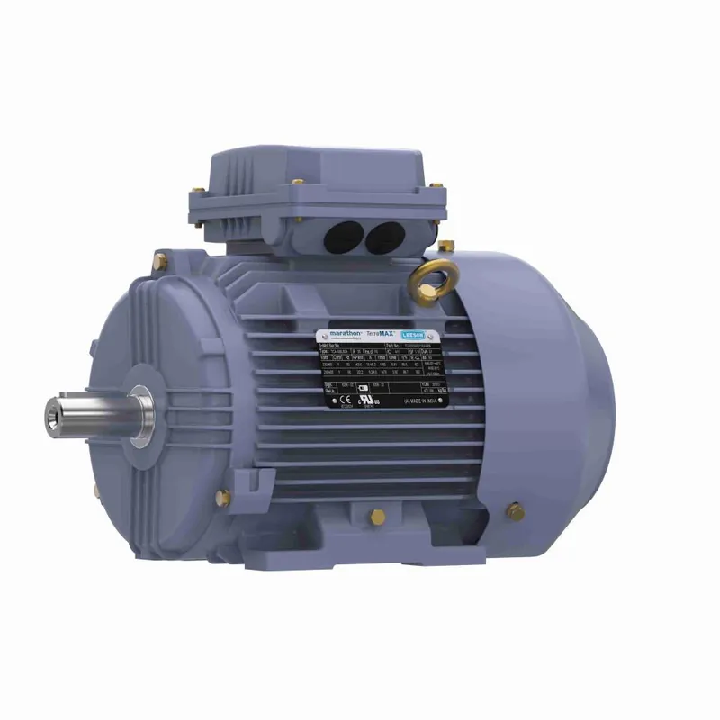 Marathon MR351B IEC Motor 4 HP 100L TEFC