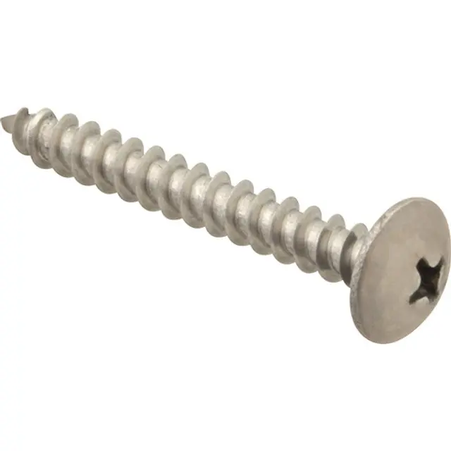 SCREW, SM/TH/SS (100)