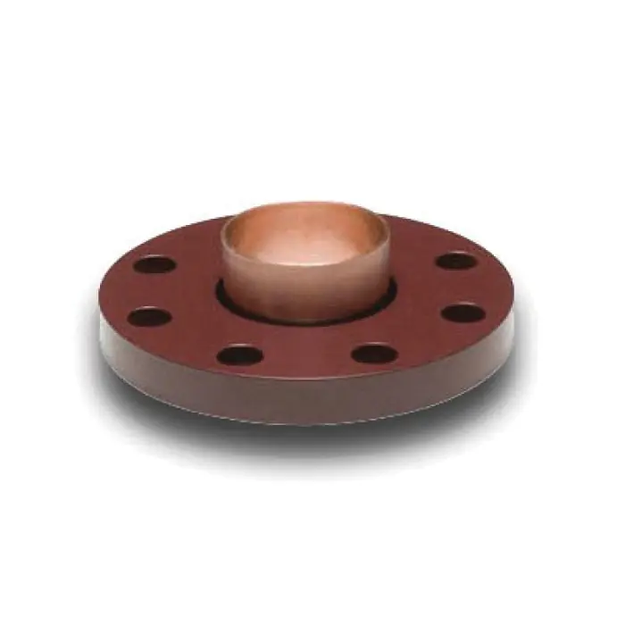 CTS Flange WBG3020 Adapter 600 psi 2 in