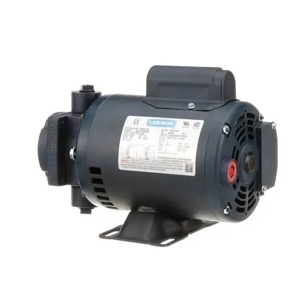 FILTER PUMP MOTOR, 1/2HP , 110-115V/220-230V