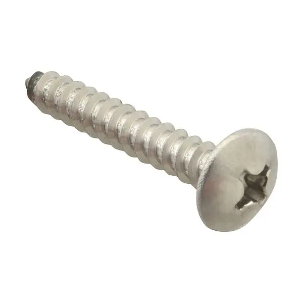 SCREW, SM/TH/SS (100)