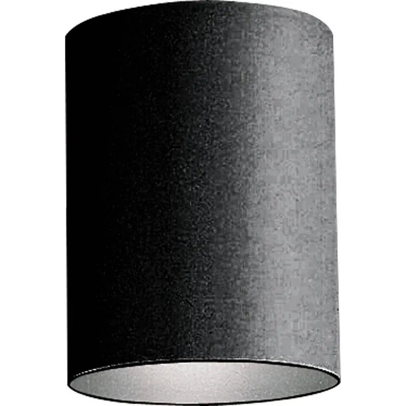 Progress Lighting P5774-31 1-75W Par30/Br30 CTC