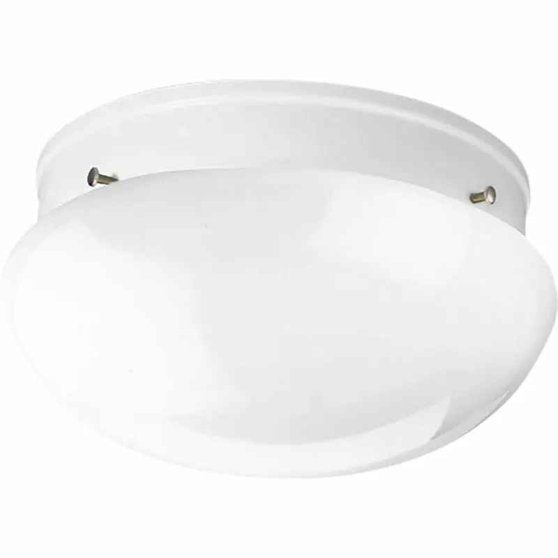 Progress Lighting P3410-30 Fitter 2-Light Flush Mount Fixture