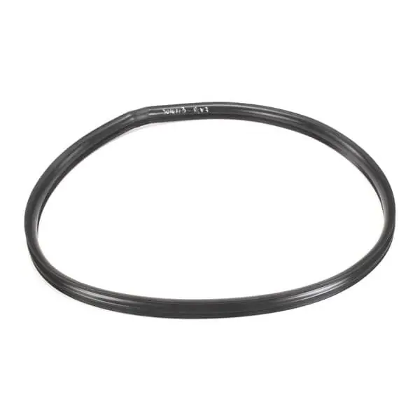 Gasket, Door, 4.10 ESI 5014123 for Alto-Shaam