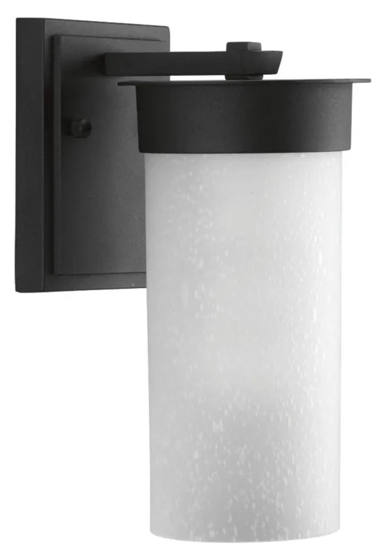 Progress Lighting P5624-31 Hawthorne Collection 100W 1-Light Medium E-26 Base Small Outdoor Wall Lantern