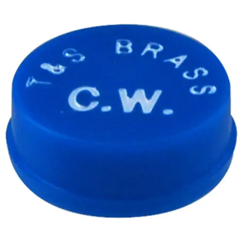 T&S Brass 001686-45 Snap-In Index Cold Water