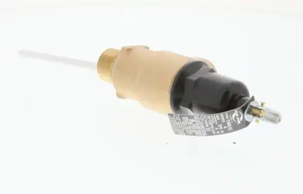 Lochinvar 100277954 T&P Valve 150 PSI