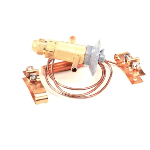 VALVE EXPANSION VT50794906 for Victory  VT50794906