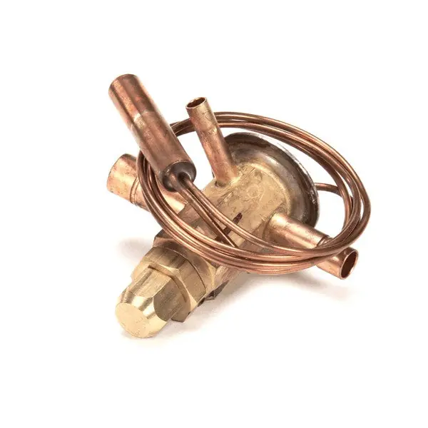 EXP VLV AAE2SW35-GT-5797 -3 for Kolpak 21187A