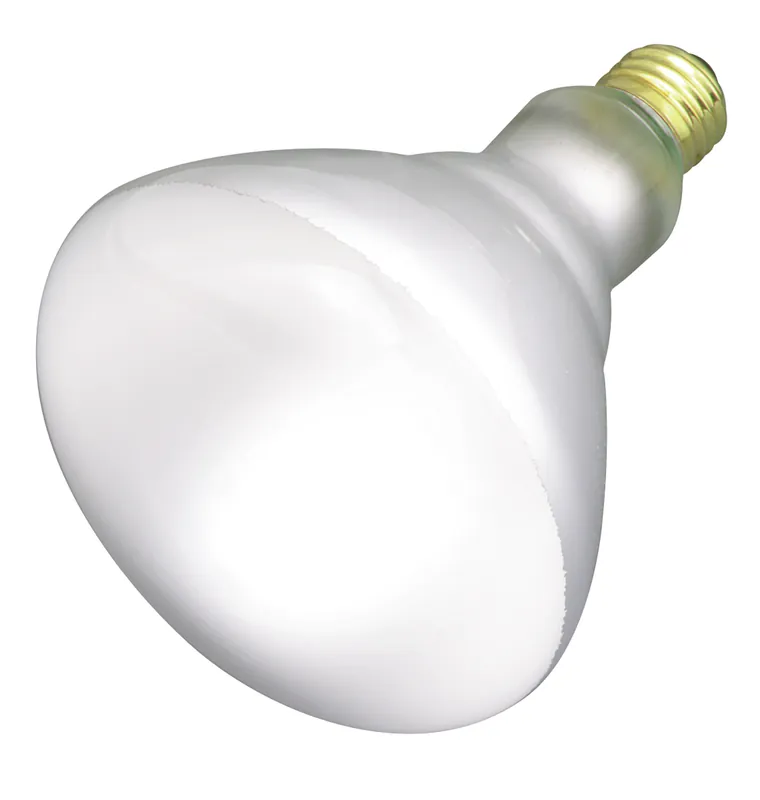 Satco S4453 65 Watt BR40 Incandescent Flood & Spot Lights
