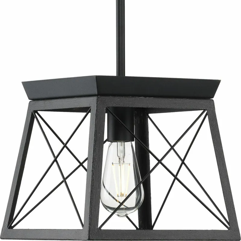 Progress Lighting P500041-031 1-Light Hanging Mini-Pendant Light 120-Volt 100-Watt Textured Black Briarwood