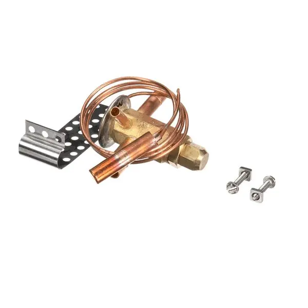 EXP VLV AAEI-1/4 SW35-GT 955A for Kolpak