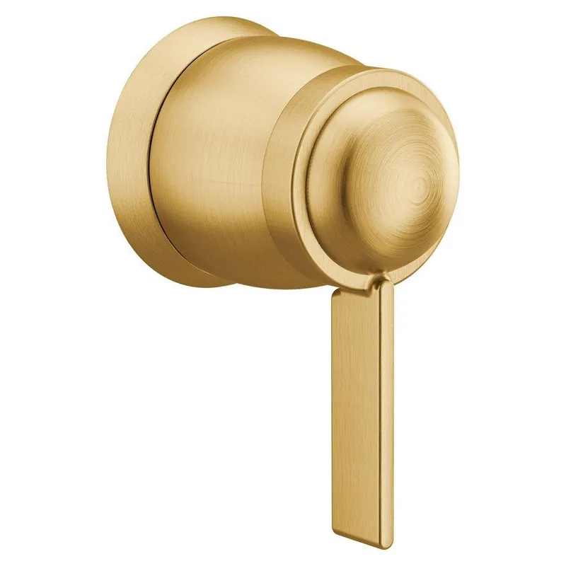 Moen T4622BG Cia Single Handle Volume Control Valve Trim in Brushed Gold