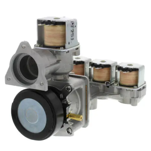 Rheem RTG20212V Gas Valve