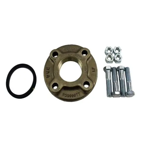 Bell & Gossett P2004634 Companion Flange 2 NPT 4-Bolt Flg Stainless Steel
