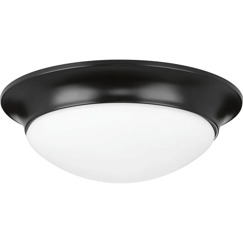 Progress Lighting P350147-031 60W 2-Light Medium E-26 Incandescent Flush Mount Ceiling Fixture in Black