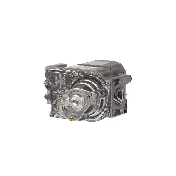 Valve Gas Natural Gas N21427634 for Groen 115298