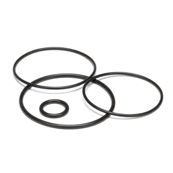 KIT O RING REPLACEMENT for Groen N56697