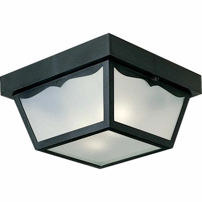 Progress Lighting P5745-31 Two-Light Ceiling Light 60W Outdoor Non-Metallic