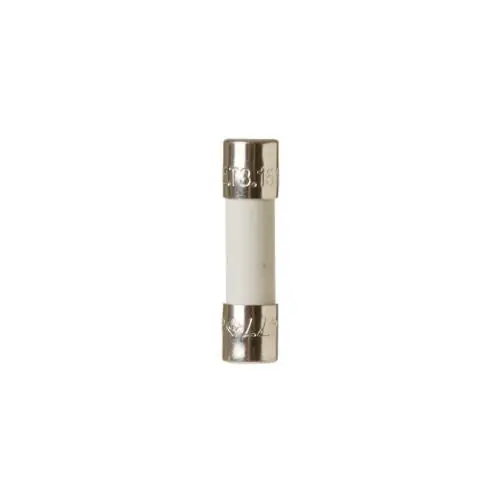 General Electric WP23X10032 Fuse