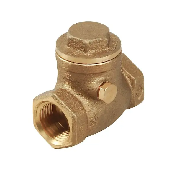 Everflow 210T003-NL FIP Swing Check Valve, Cast Brass 3 Inch
