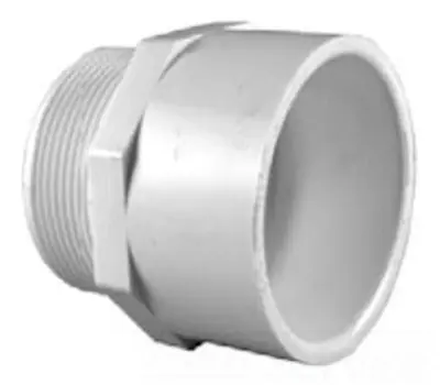 Charlotte Pipe and Foundry Company PVC 02109 1200 1-1/4 in. Male x Socket PVC Adapter