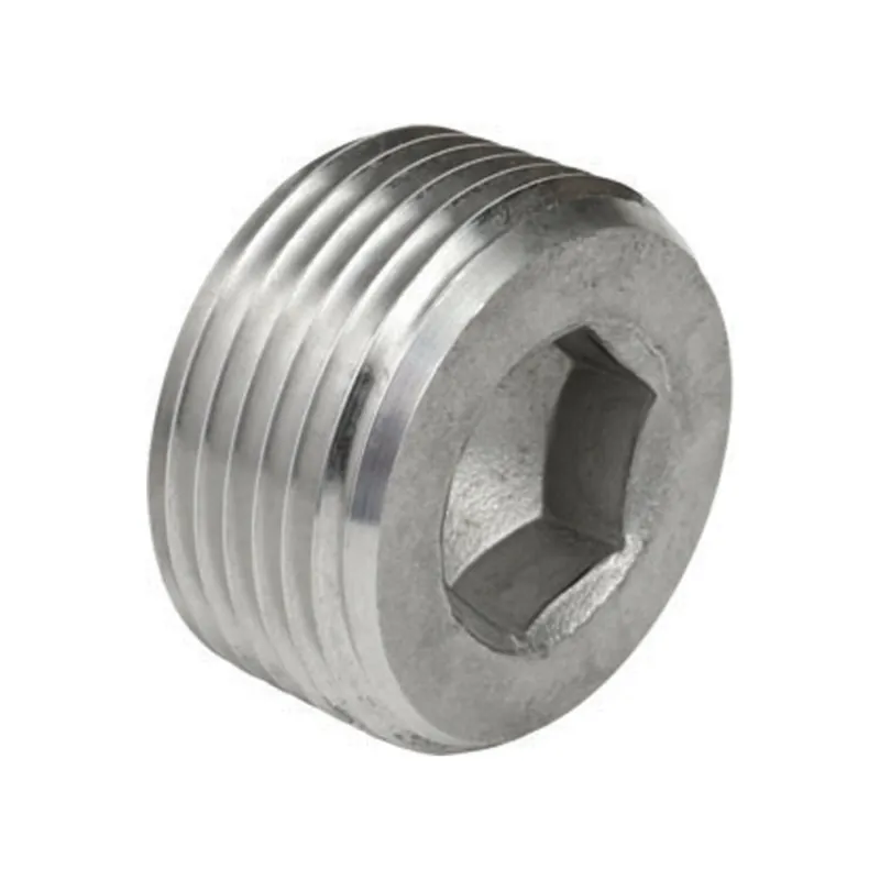 Calbrite S61000CSHP Stainless Steel 316 Cntr Sunk Hex Plug 1