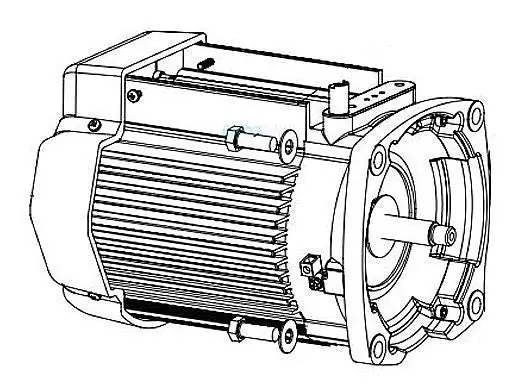 Pentair 353134S TEFC Motor W/O Drive Almond