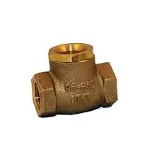 Anvil 4324000556 FPPI Check Valve 3/4 In