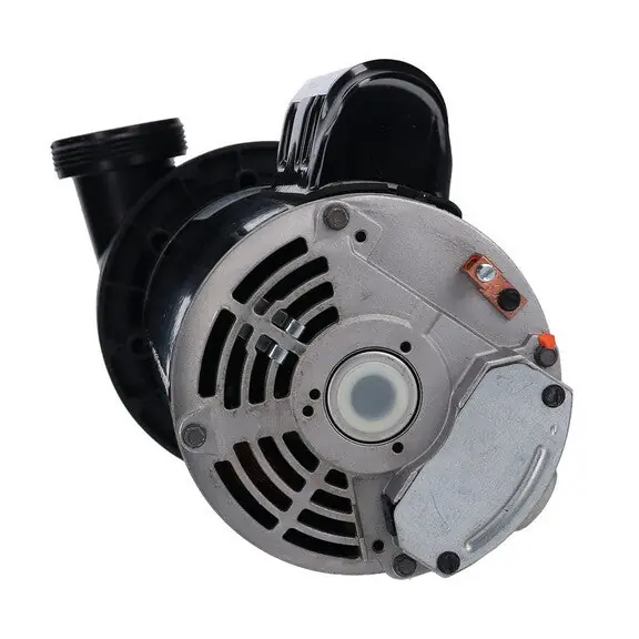Balboa Water Group 4154213-S Pump 115V 1.5HP 2-Spd Replacement