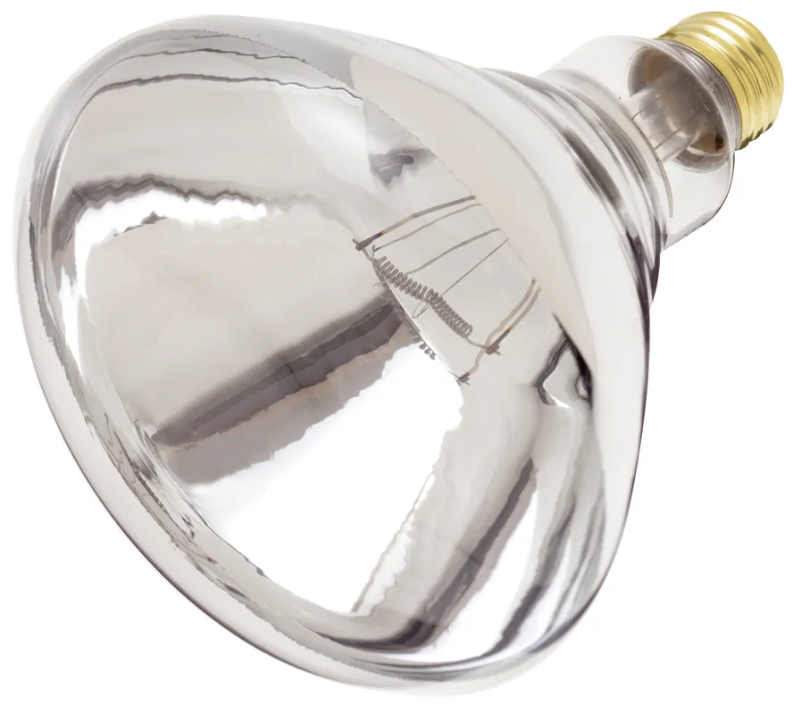 Satco S4999 250 Watt R40 Incandescent Clear Heat 6000 Average Rated Hours Medium Base 120 Volt