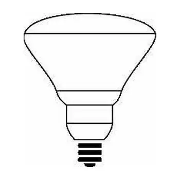 Philips 143438 300BR/FL 120/130V 24/1